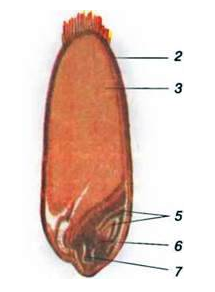 0401r0p1-9eee-215x292.png