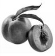 0401r2ap-ec82-108x111.png