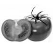 0401r2b4-b9fc-110x112.png