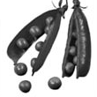 0401r2bn-84f6-110x110.png