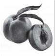 0401r2gp-b35c-114x116.png