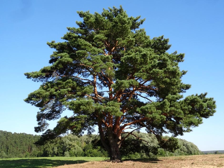 0401r31l-7b78-940x705.jpg
