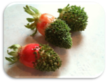 0401r33n-34f9-153x117.png