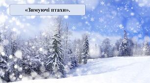 Презентація на тему: «Зимуючі птахи».