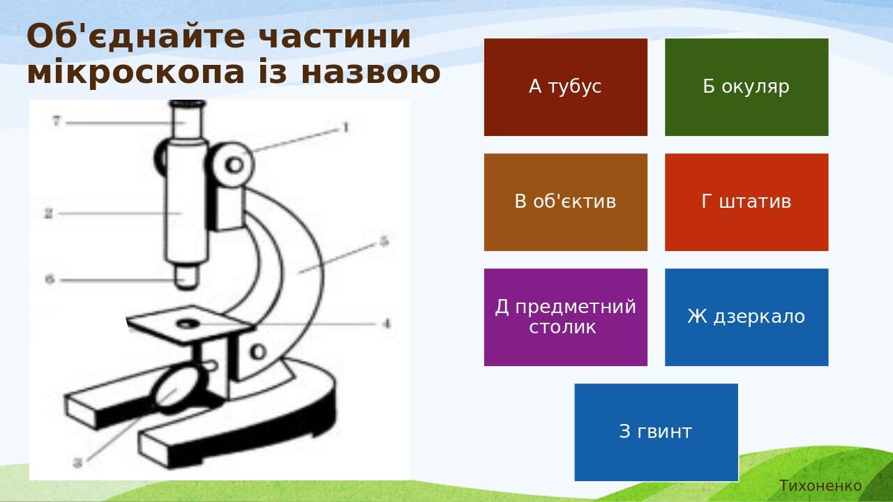 Лабораторне дослідження. Тема. Робота з мікроскопом та приготування ...
