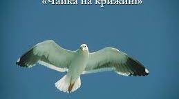 Ліна Костенко"Чайка на крижині"