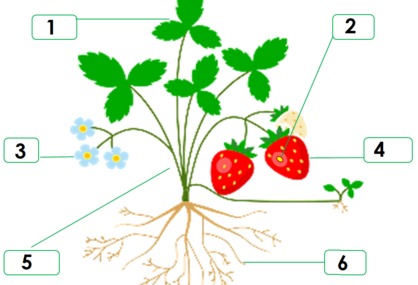 0401r6rk-a606-418x285.png
