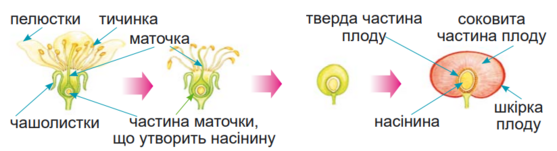 0401r7pp-5b8e-557x151.png