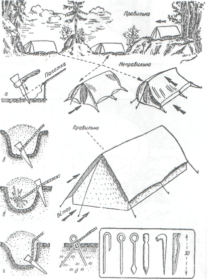 0401r8up-94bb-531x717.png