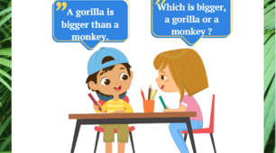 Degrees of comparison. Animals.