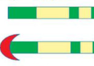 0401rbo2-fff8-192x136.png