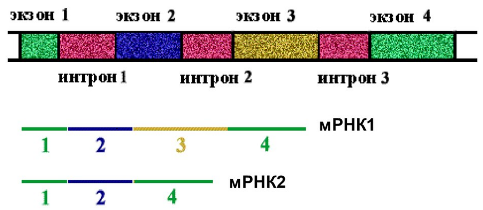 0401rcby-7ce8-940x410.png