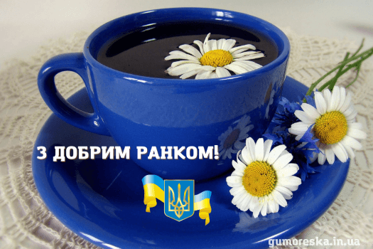 0401rexo-0374-525x350.png