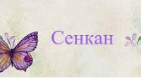 Презентація інтерактивної технології "Сенкан"