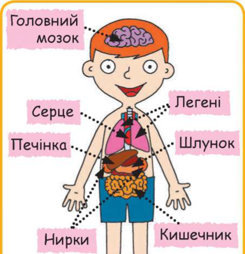 0401rkn8-4e9b-351x364.png