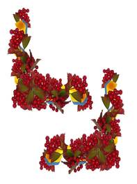 0401rkxl-96ef-197x263.jpg