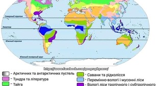 Розробка до уроку на тему: Природні зони світу