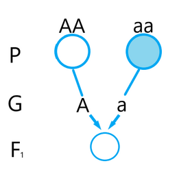 0401rm2p-d13f-277x264.png