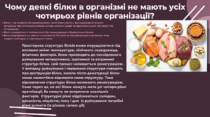 Білки - пізнавальний плакат