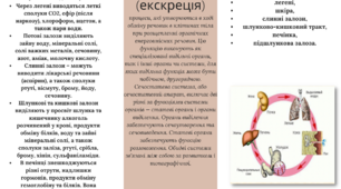 Виділення (екскреція) - презентація