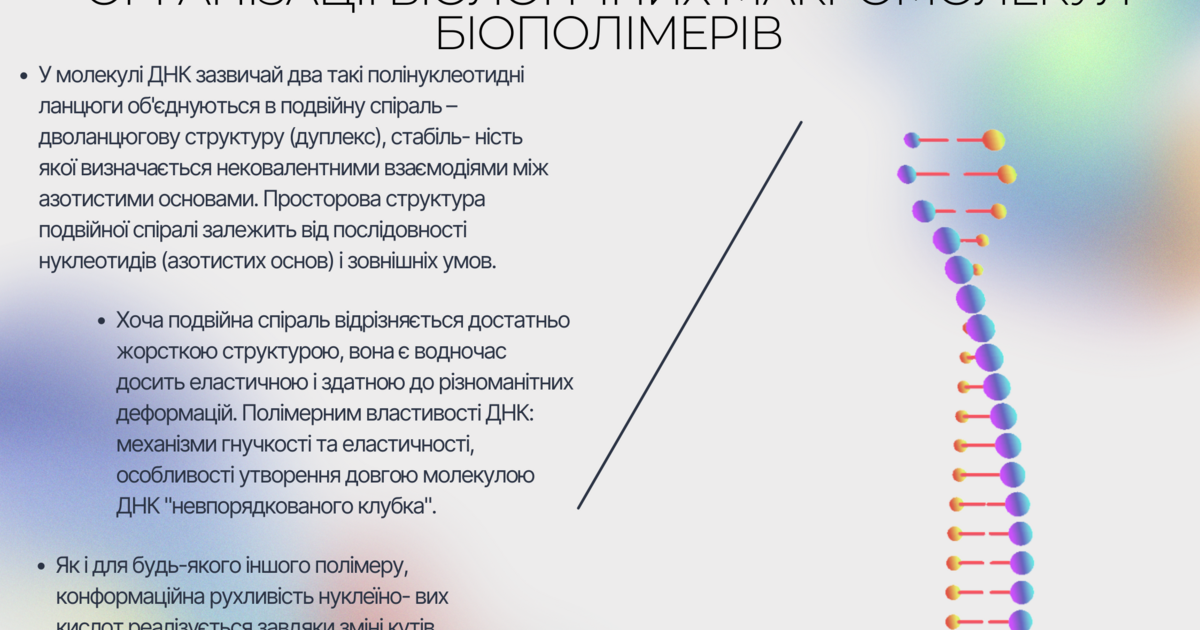 Спіраль ДНК біологія - плакат | Ілюстрації. Біологія