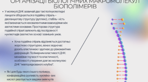 Спіраль ДНК біологія - плакат