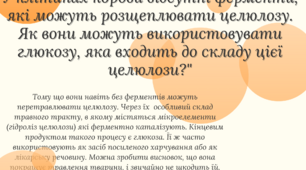 Целюлоз і глюкоза - плакат