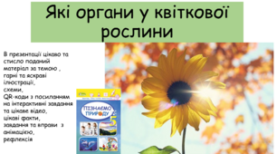 Презентація "Які органи у квіткової рослини"