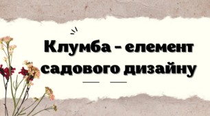 Клумба - елемент садового дизайну - презентація