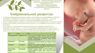 Онтогенез, розвиток - презентація