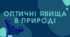 Оптичні явища в природі
