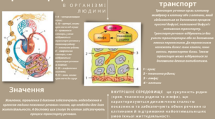Транспорт речовин - презентація