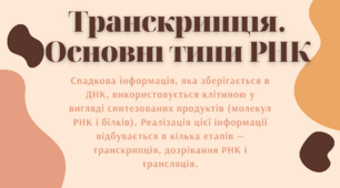 Транскрипція. Основні типи РНК - презентація