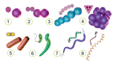 0401rncc-400c-385x214.png