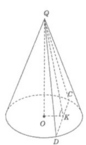 0401rncd-067a-256x429.png