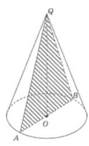 0401rnde-3639-250x411.png