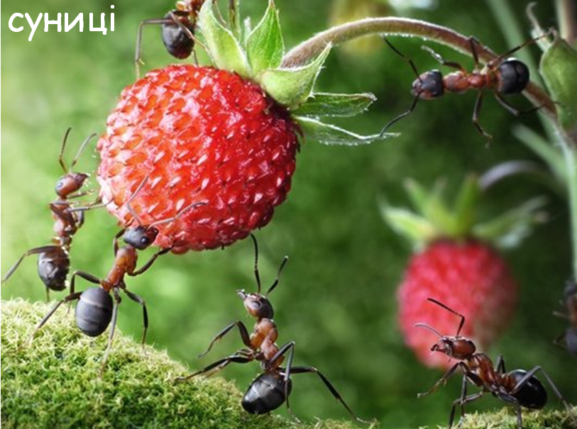 0401rp7l-7450-813x605.png