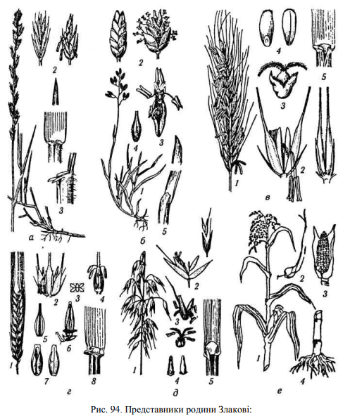 0401rq2u-cb06-497x592.png