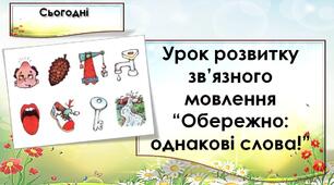 Урок розвитку зв’язного мовлення “Обережно: однакові слова!”