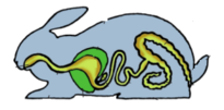 0401rulq-fbec-205x101.png
