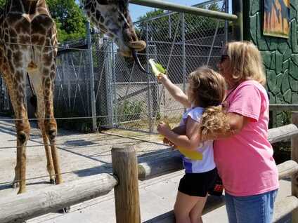 10 Wisconsin zoos outside of Milwaukee worth a visit
