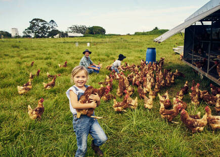 20,005 Kids With Farm Animals Stock Photos, Pictures & Royalty-Free Images - iStock
