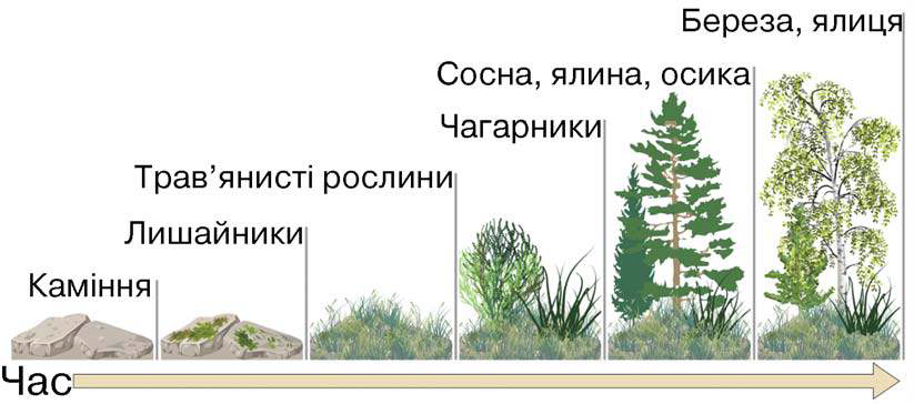 0401rvne-430c-823x364.png