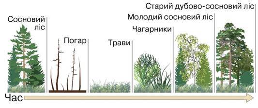 0401rvnt-057f-533x224.jpg