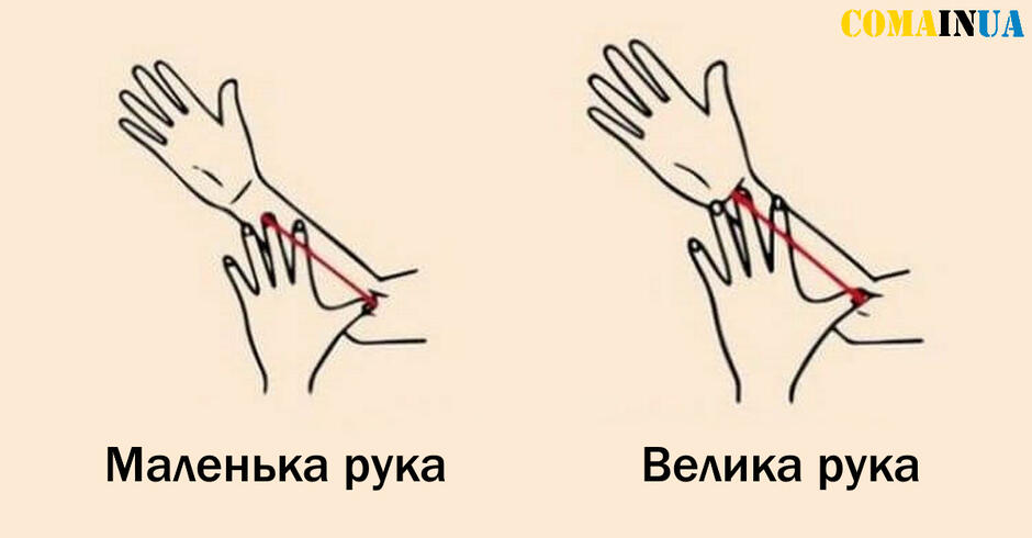 0401rz6x-872e-940x490.jpg