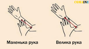 Розмір вашої руки розповість дещо цікаве про ваш характер. Перевірте