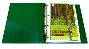 (Копія) Поняття про класифікацію рослин. Біологія 6 клас.