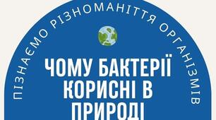 Інфографіка до теми "Яке значення бактерій і вірусів в природі"