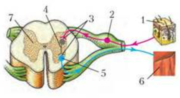 0401s0uj-bd6d-666x363.png