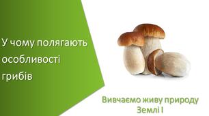 Презентація з уроку Пізнаємо природу для 5 класу на тему «У чому полягають особливості грибів»